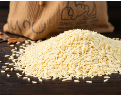 Premium Basmati Rice